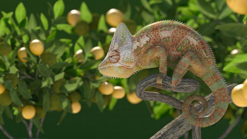 Cameleon