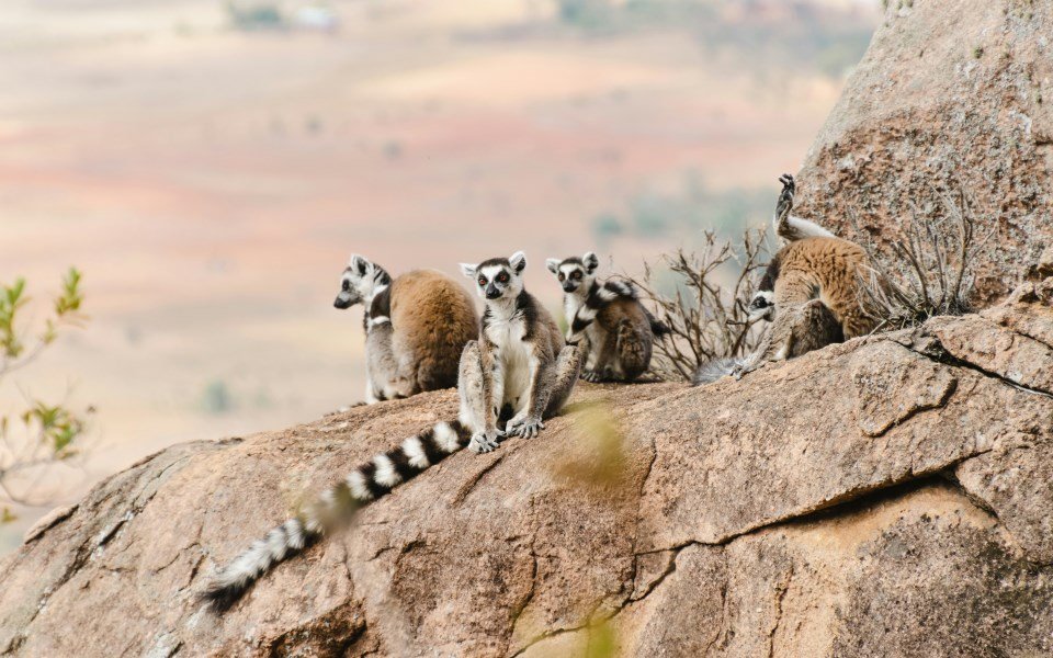 Madagaskar Rundreisen