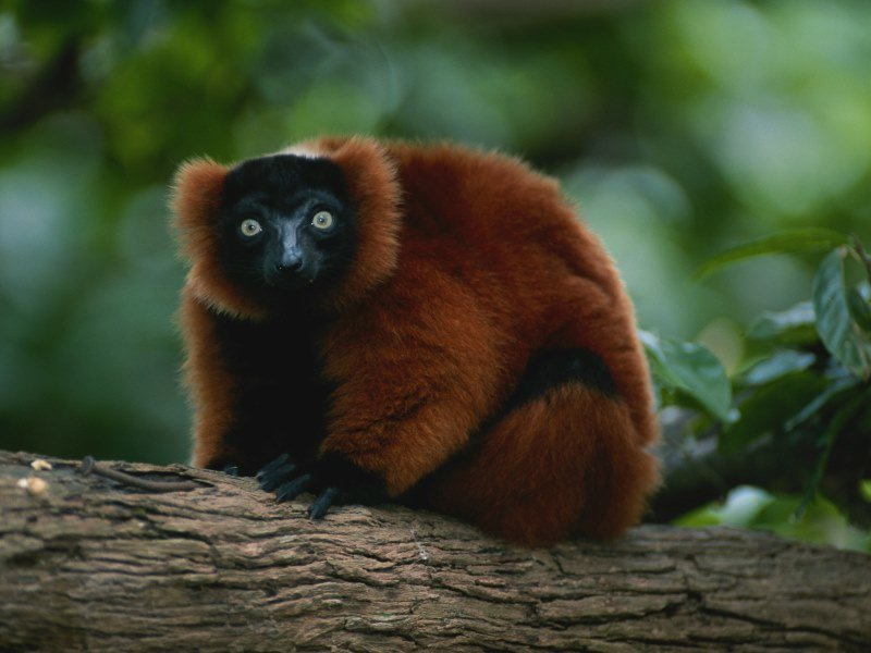 Kulturelles-Erbe-der-Madagaskar-Inseln