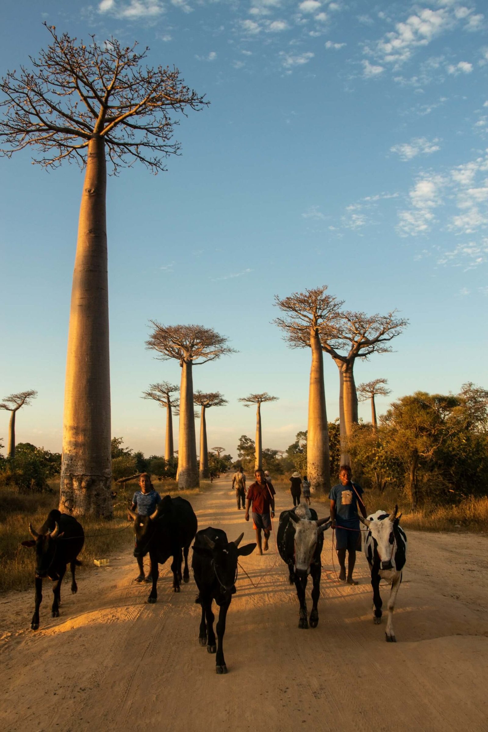 Einwohner von Madagaskar