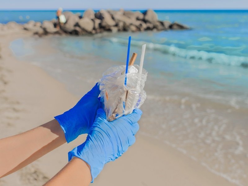 Naturschutz und Artenvielfalt an den Straenden 1 1 - Madagaskar Individual