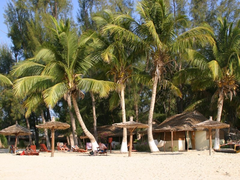 Palmen am Strand Madagaskar 1 1 1 - Madagaskar Individual