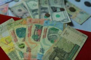 Blog 79 Madagaskar geld
