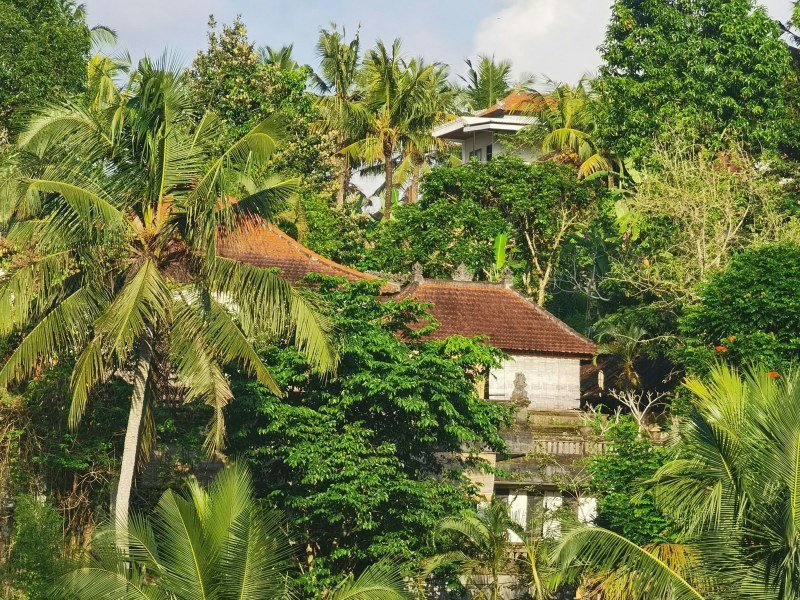 Madagaskar Urlaub Kosten – Reisekosten, Spartipps & Übersicht